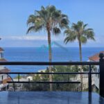 imgi_5_4157351-fd1b91a2